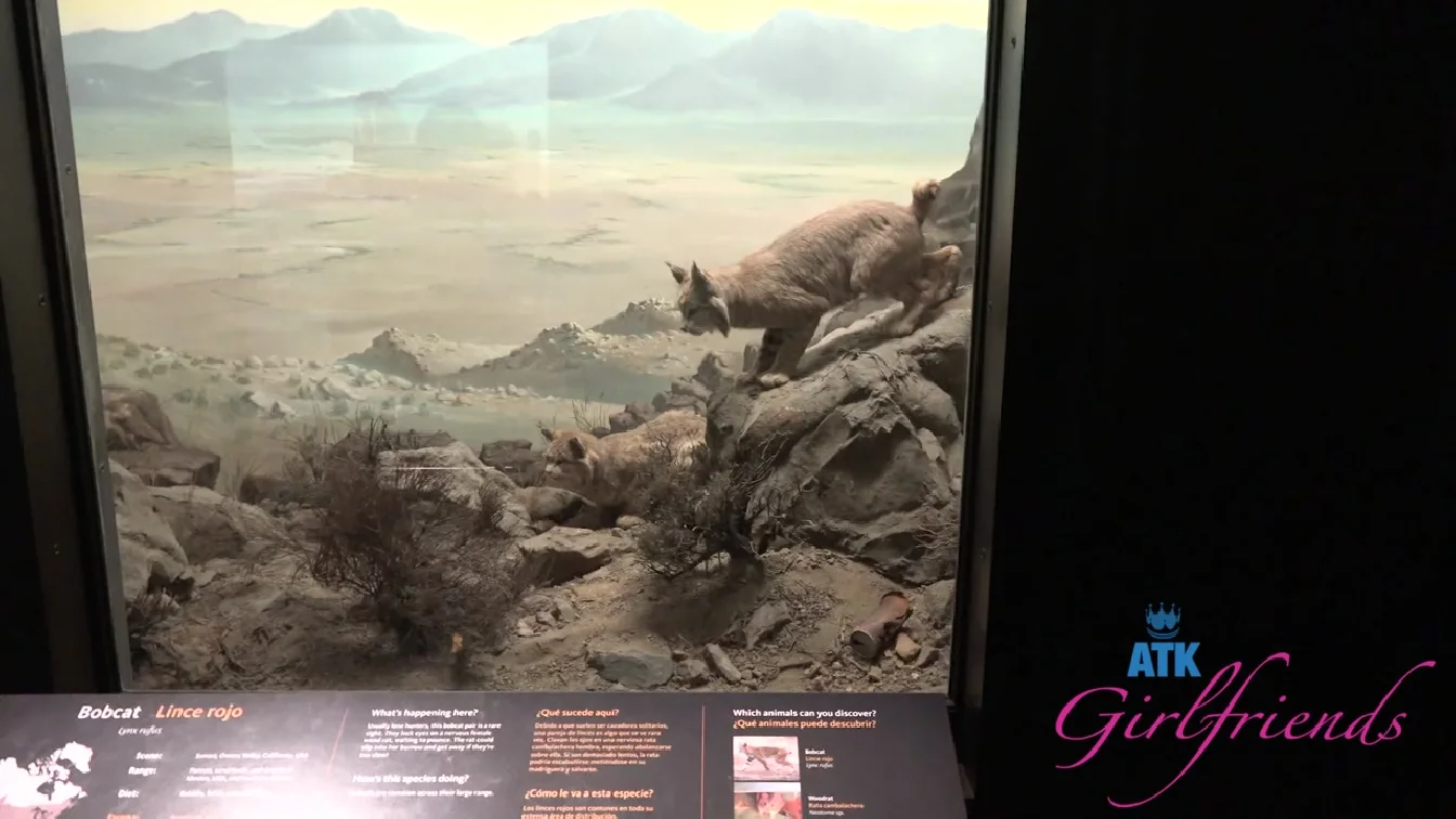 ATKGirlfriends Selina Imai Museum 1 XXX